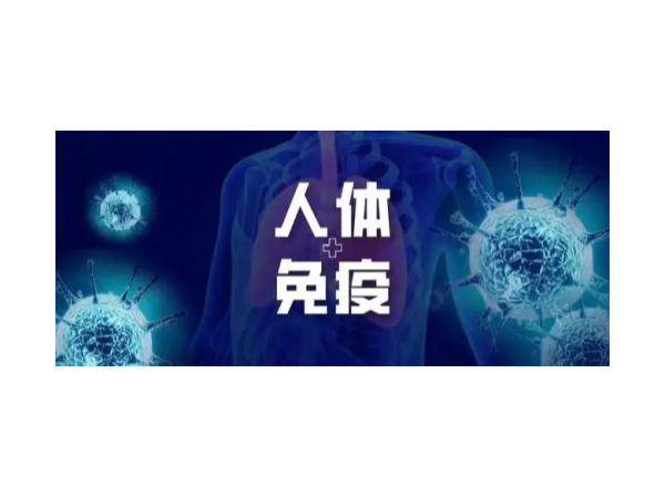 靈芝孢子粉保護我們?nèi)梭w從三個方面做起