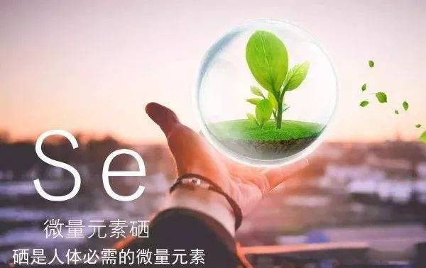 補(bǔ)硒