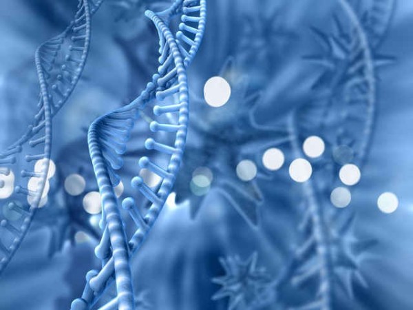 得癌后，為什么很多醫(yī)生會讓患者多多補充硒元素呢？