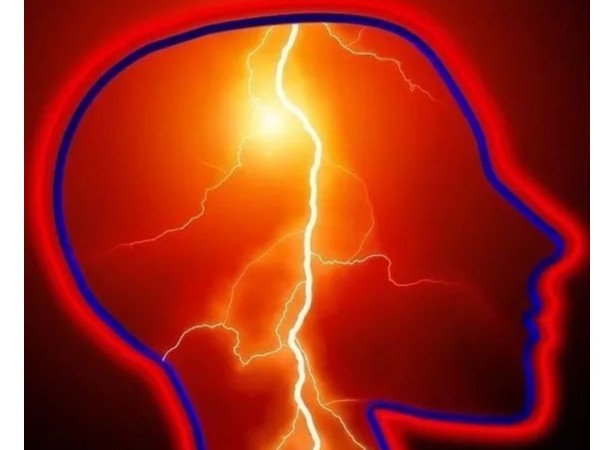 硒元素與腦血管之間的關(guān)系