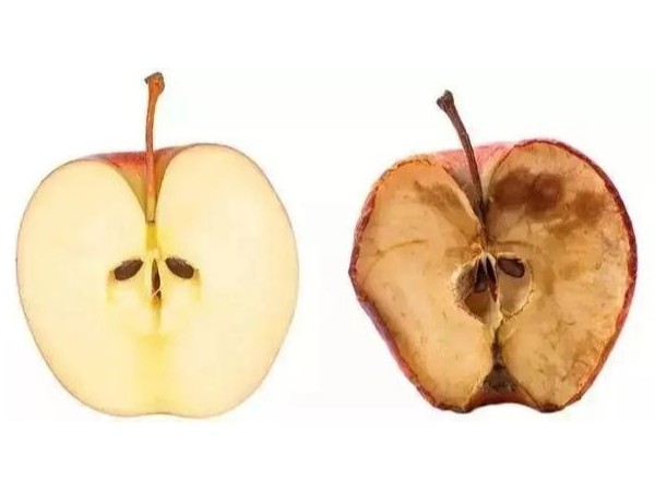 硒的抗氧化作用是怎么進(jìn)行的呢？