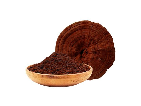 靈芝孢子粉為什么選用大別山的？