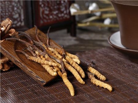 冬蟲夏草有什么禁忌？