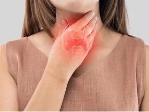 甲狀腺支持營養素——硒