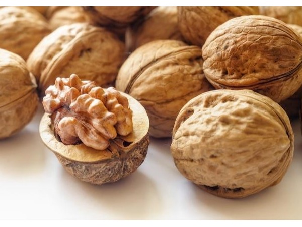 保健食品科普|分享四種對大腦有好處的食物