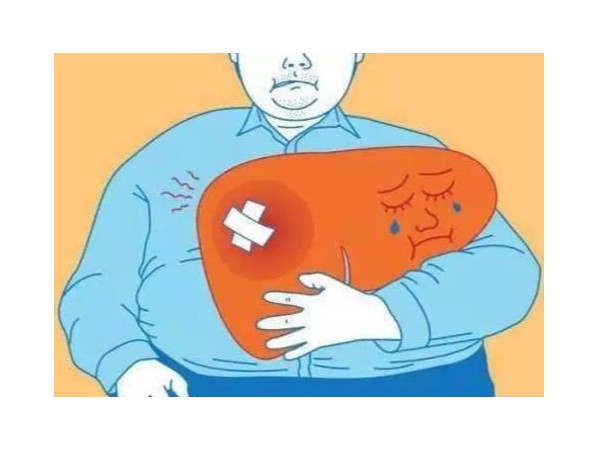 養肝五大訣竅，硒和五味子的那些秘密