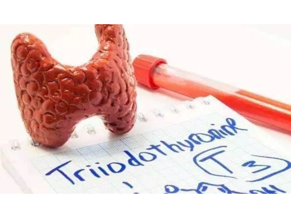 甲狀腺的守護神——硒