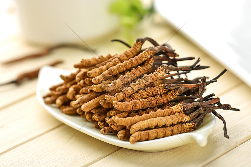 冬蟲夏草：深入解析其學(xué)名、分類與健康奧秘