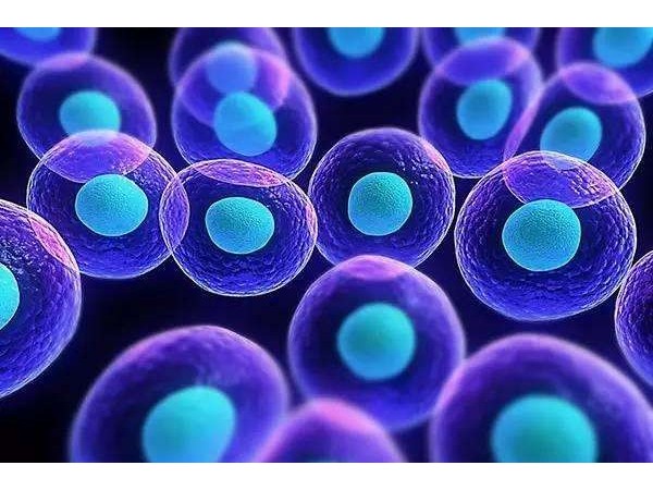 為什么吃硒沒有效果？你肯定做錯了這個