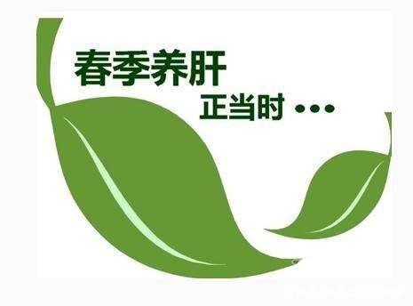 春季養(yǎng)生，試一試靈芝孢子粉