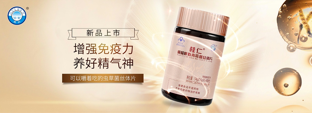 桂仁蟲草菌絲體片01