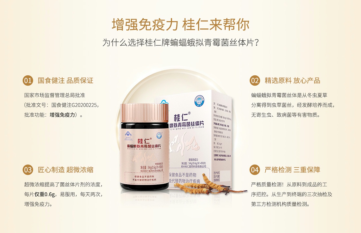 桂仁蟲草菌絲體片04