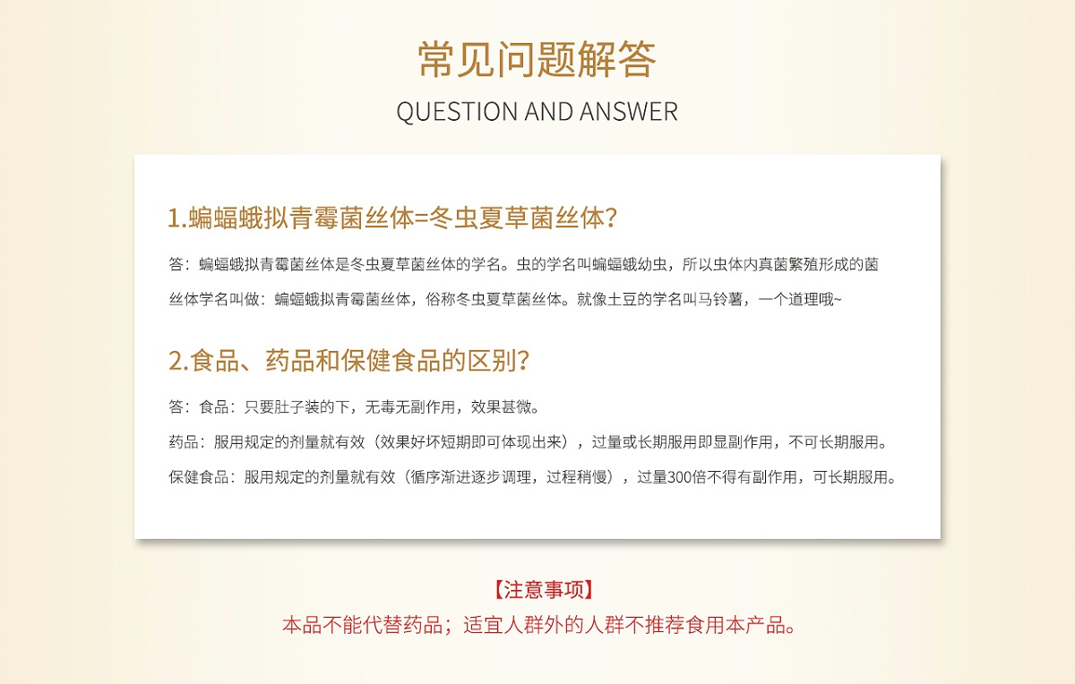 桂仁蟲草菌絲體片11