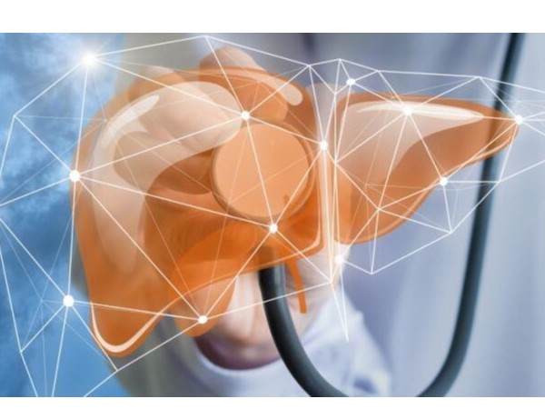 常補這些元素可以養(yǎng)肝排毒，還你一個干凈健康的肝