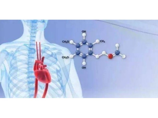 輔酶Q10：缺乏會對人體健康產生哪些影響？