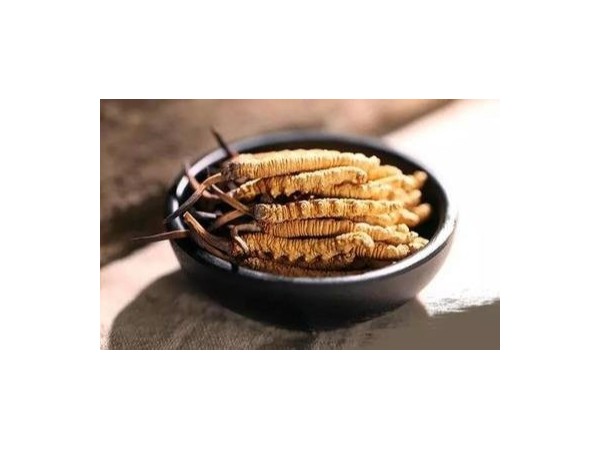 中國冬蟲夏草發展現狀分析，未來潛力巨大