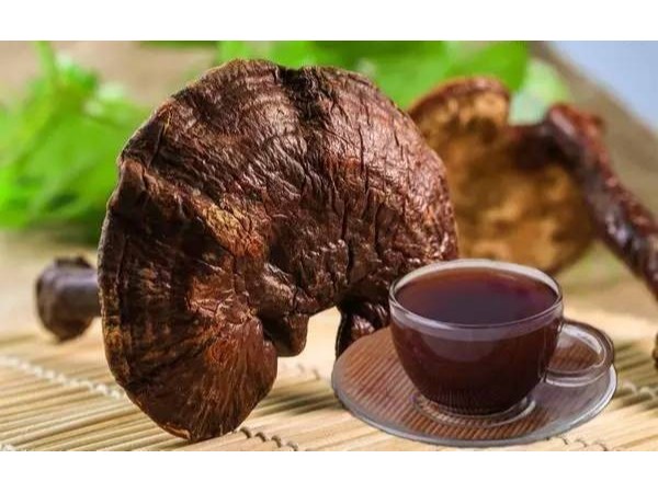 桂仁小課堂——靈芝孢子粉月經(jīng)期間還能吃嗎？