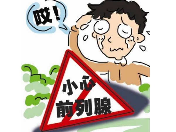 補硒科普 | 前列腺誰都有，多了解才是最重要的