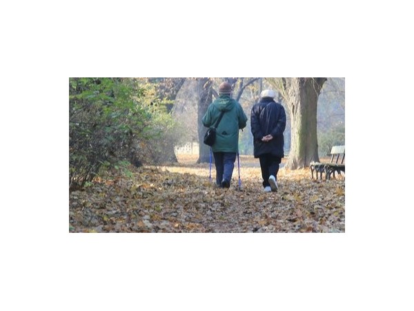 秋冬營養(yǎng)要注意補充什么？